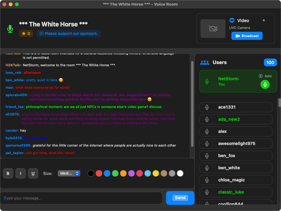 Main Chat Interface